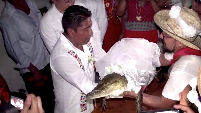 Wali Kota Meksiko Menikahi Buaya