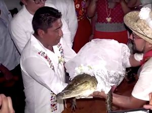 Wow! Wali Kota Ini Menikahi Buaya, Ini Alasannya