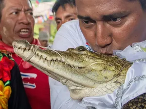Wali Kota Ini Nikahi Buaya, Alasan di Baliknya Mulia Sekali