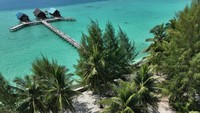 Wisata ini jadi penyangga kawasan strategis pariwisata nasional Wakatobi dengan keunikan pasir putih dan ratusan pohon cemara tumbuh rapi yang mengelilingi pulau tersebut.  