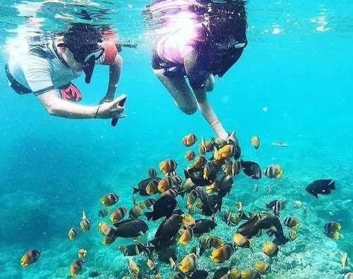 Aktifitas snorkeling di Nusa Lembongan, Minggu (2/7/2023). (stimewa)