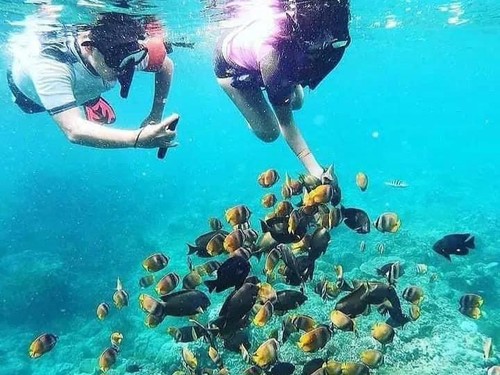 Aktifitas snorkeling di Nusa Lembongan, Minggu (2/7/2023). (stimewa)