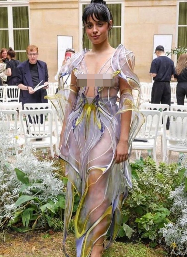 “Senang saya bukan satu-satunya yang berpikir baju ini tidak cocok untuk mereka, terutama Camila,” kritik netizen. Foto: Instagram/@camila_cabello @irisvanherpen