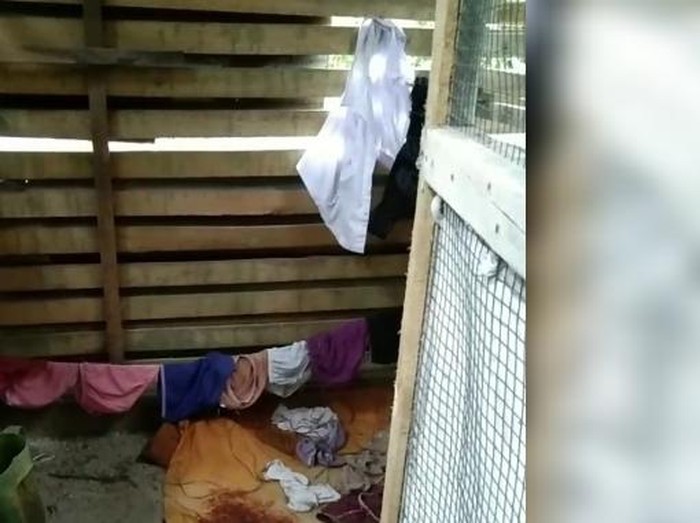 Tangkapan layar emak - emak di Asahan temukan banyak celana dalam di kandang ayam. (Istimewa)
