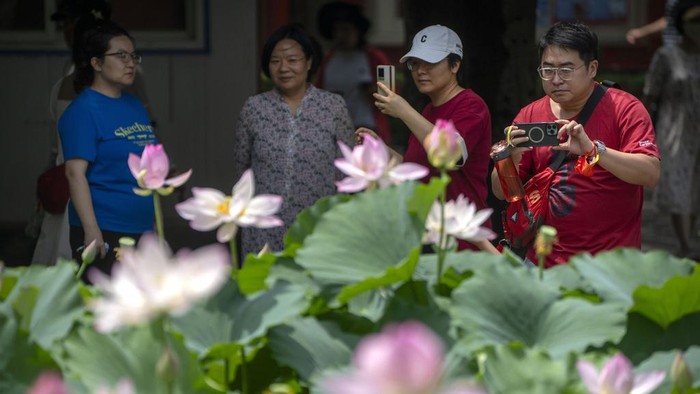 China Daily Life A woman takes smartphone photos of lotus blossoms in a pond at a public park in Beijing, Tuesday, July 4, 2023. (AP Photo/Mark Schiefelbein)