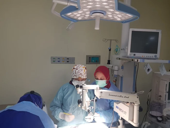 Dr. Yanti, Dosen Unair yang Temukan Formula Kornea Mata Artifisial