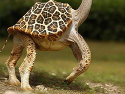 Ngeri! Ini Gambaran Hasil Perkawinan Dua Hewan Buatan AI