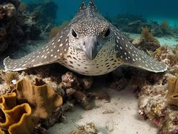 Ngeri! Ini Gambaran Hasil Perkawinan Dua Hewan Buatan AI