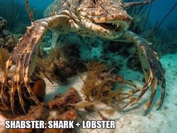 Ngeri! Ini Gambaran Hasil Perkawinan Dua Hewan Buatan AI