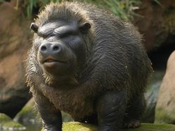 Ngeri! Ini Gambaran Hasil Perkawinan Dua Hewan Buatan AI