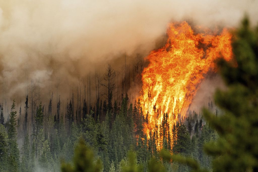 Flames from the Donnie Creek wildfire burn along a ridge top north of Fort St. John, British Columbia, Canada, Sunday, July 2, 2023. (AP Photo/Noah Berger)