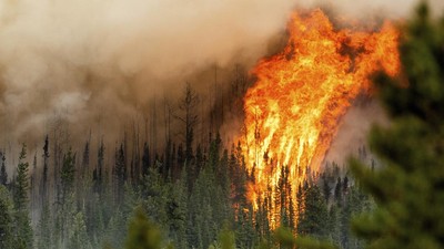 Kobaran Api yang Membakar Hutan di British Columbia Kanada