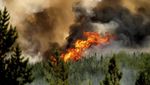 Kobaran Api yang Membakar Hutan di British Columbia Kanada