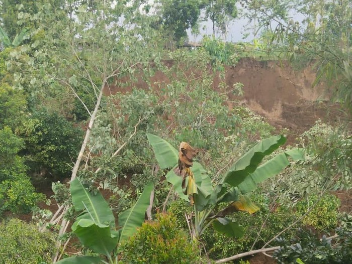 Lokasi kebun cengkih di Desa Nganjuk longsor