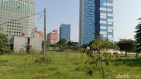 Nusa Edu Park di Aston Priority Simatupang Hotel & Conference Center sudah seperti oase. Kawasan super sibuk Simatupang tak terlalu terdengar suaranya dari sini.