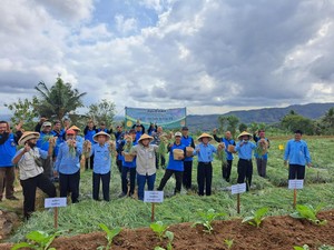 Cara Kementan Genjot Produksi Bawang Merah hingga Capai 20 Ton/Ha