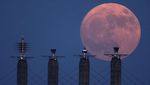 Potret Supermoon Pertama Tahun 2023 di Berbagai Negara