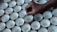 Kok ini dijual dengan harga Rp 30 ribu hingga Rp 115 ribu per pak.  