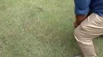 Dicek Basuki-Erick, Ini Penampakan Rumput JIS yang Bakal Diganti