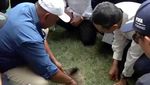 Dicek Basuki-Erick, Ini Penampakan Rumput JIS yang Bakal Diganti