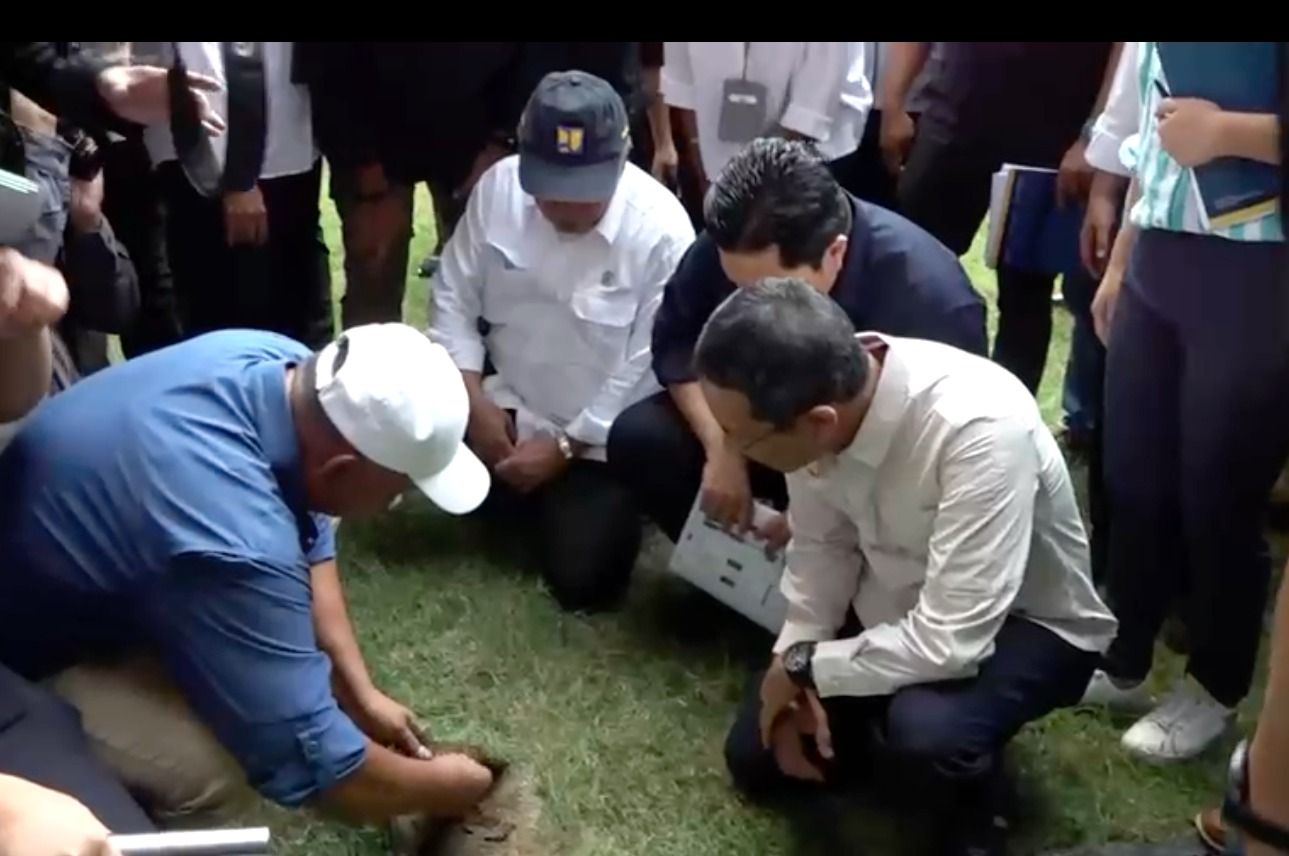 Rumput di JIS yang bakal diganti. (Dok. Tim Erick Thohir)