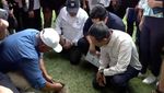 Dicek Basuki-Erick, Ini Penampakan Rumput JIS yang Bakal Diganti