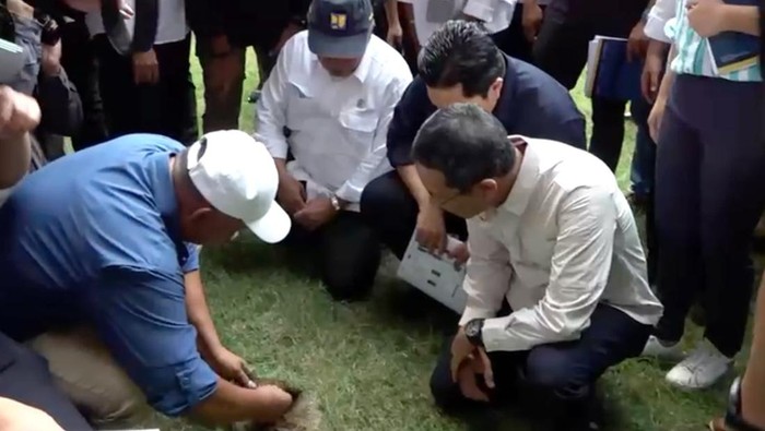 Rumput di JIS yang bakal diganti. (Dok. Tim Erick Thohir)