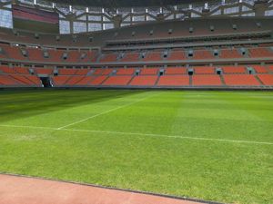 Jakpro Mulai Perbaiki Rumput JIS Sesuai Rekomendasi FIFA