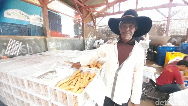 Suhaya (70) petani ubi tersukses di Sumedang