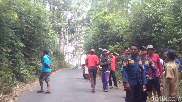 Tim Damkar Satpol PP Pemkab Klaten dan relawan mendatangi lokasi serangan lebah madu hutan di Desa Jiwan, Kecamatan Karangnongko. Foto diunggah pada Selasa (4/7/2023).