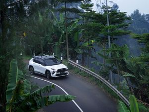 Toyota Nilai SUV Makin Seksi di Indonesia