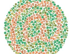 Cek Gambar Ini Untuk Uji Kamu Buta Warna atau Tidak