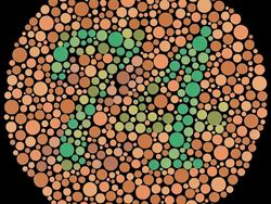 Cek Gambar Ini Untuk Uji Kamu Buta Warna atau Tidak