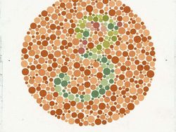 Cek Gambar Ini Untuk Uji Kamu Buta Warna atau Tidak