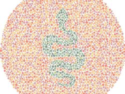 Cek Gambar Ini Untuk Uji Kamu Buta Warna atau Tidak