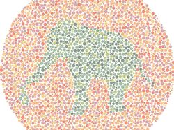 Cek Gambar Ini Untuk Uji Kamu Buta Warna atau Tidak