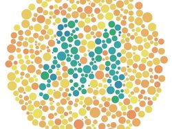 Cek Gambar Ini Untuk Uji Kamu Buta Warna atau Tidak