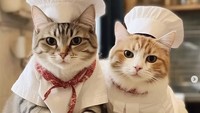 Tingkah menggemaskan kucing juga terlihat saat menjadi pastry chef. Wah, sudah ada banyak kreasi pastry di hadapan mereka. Foto: Instagram meawlands