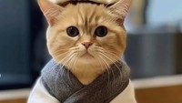 Kalau pastry chef-nya seperti ini, sudah pasti banyak pembelinya ya? Setiap tingkah lakunya begitu menggemaskan. Foto: Instagram meawlands