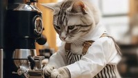 Sudah pakai celemek khas barista, kucing ini tengah mengoperasikan mesin kopi. Kira-kira ia menyiapkan biji kopi apa ya? Foto: Instagram meawlands