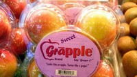 Buah grapple juga sempat menjadi perbincangan. Buah ini terdiri dari persilangan buah apel dan anggur. Bentuknya seperti apel Fuji, tapi rasanya segar seperti anggur. Foto: Getty Images/iStockphoto/