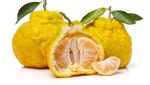 8 Buah Hybrid yang Eksis, Ada Pineberry hingga Melon Lemon