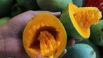 8 Buah Hybrid yang Eksis, Ada Pineberry hingga Melon Lemon