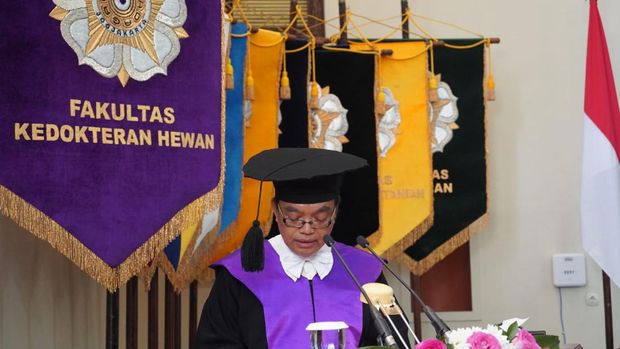 Dekan Fakultas Kedokteran Hewan (FKH) UGM, Teguh Budipitojo dikukuhkan sebagai guru besar dalam bidang anatomi. Foto diunggah pada Rabu (5/7/2023).