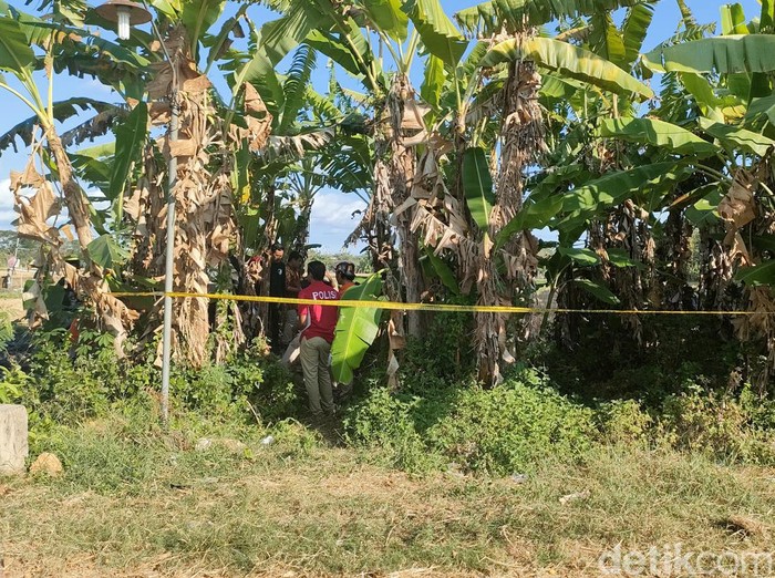 Rekonstruksi pembunuhan wanita Klodran yang mayatnya ditutup daun pisang di Kalijambe, Kabupaten Sragen, Jawa Tengah, Rabu (5/7/2023).