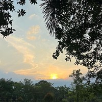 Berlatar keluarga berada, Raline tinggal di sebuah rumah yang berhalaman luas. Sempat Raline mengunggah foto di Instagram yang memperlihatkan pelataran rumahnya. Sejauh mata memandang, hanya hamparan hijau yang terlihat. (Foto: Instagram/@ralineshah)