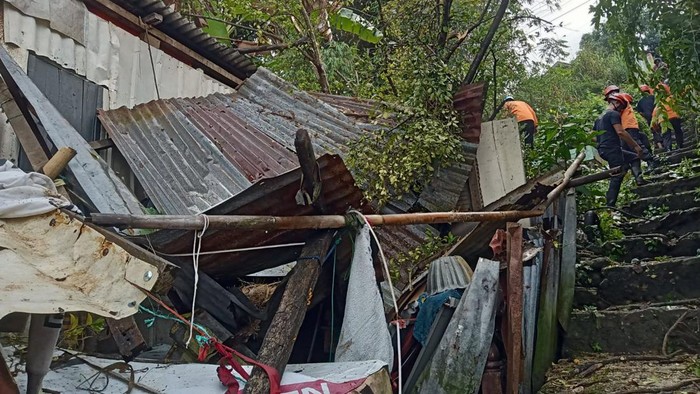 Rumah warga di Parepare roboh tertimpa pohon.