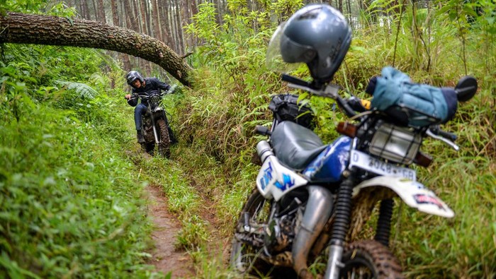 Wisatawan menggunakan motor trail memasuki hutan pinus di Cikole, Kabupaten Bandung Barat, Jawa Barat, Rabu (5/7/2023). Perum Perhutani melakukan uji coba pembukaan kembali jalur wisata trabas di Cikole setelah sempat ditutup imbas dari kejadian pengendara trail yang merusak kawasan konservasi rumput rawa di Ranca Upas, Kabupaten Bandung beberapa waktu lalu. ANTARA FOTO/Raisan Al Farisi/foc.