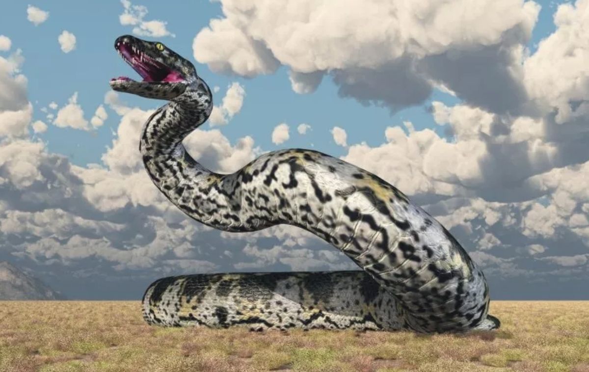 Titanoboa 14 Meter Adalah Ular Terbesar yang Pernah Merayap Bumi