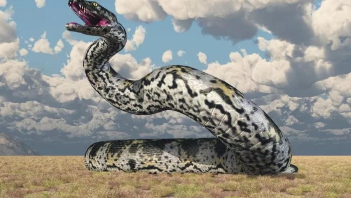 Titanoboa